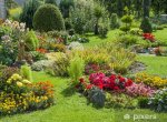 rideaux-transparents-jardin-fleuri-et-paysage.jpg.jpg