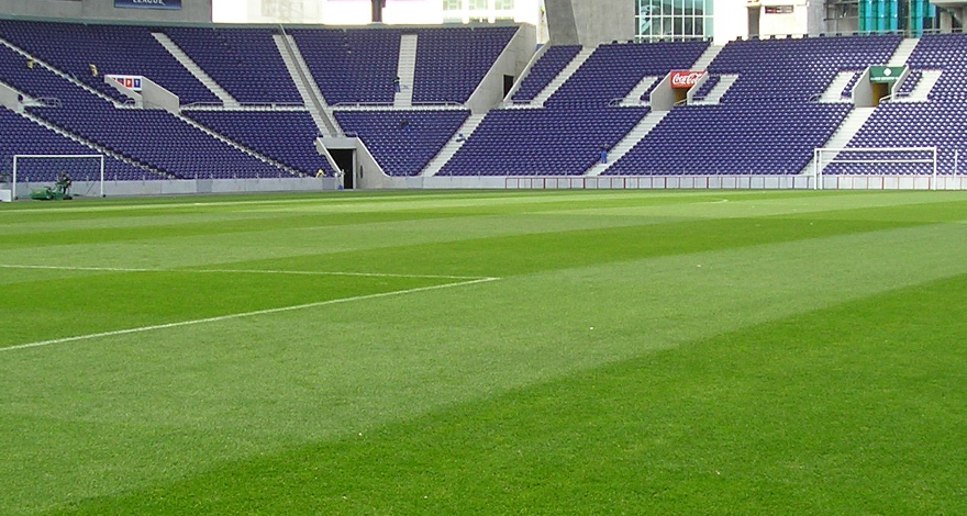 À conversa sobre o relvado do Estádio do Dragão - Portal de